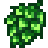 Hops